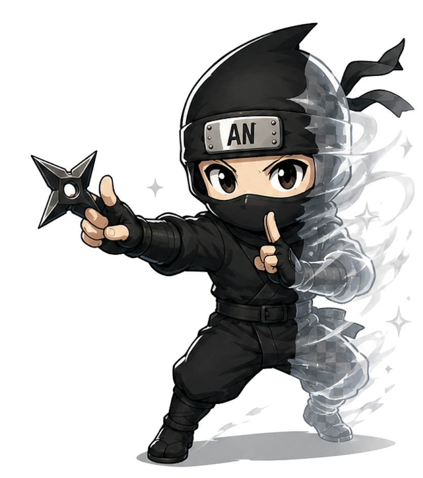 AssetNinja Concept